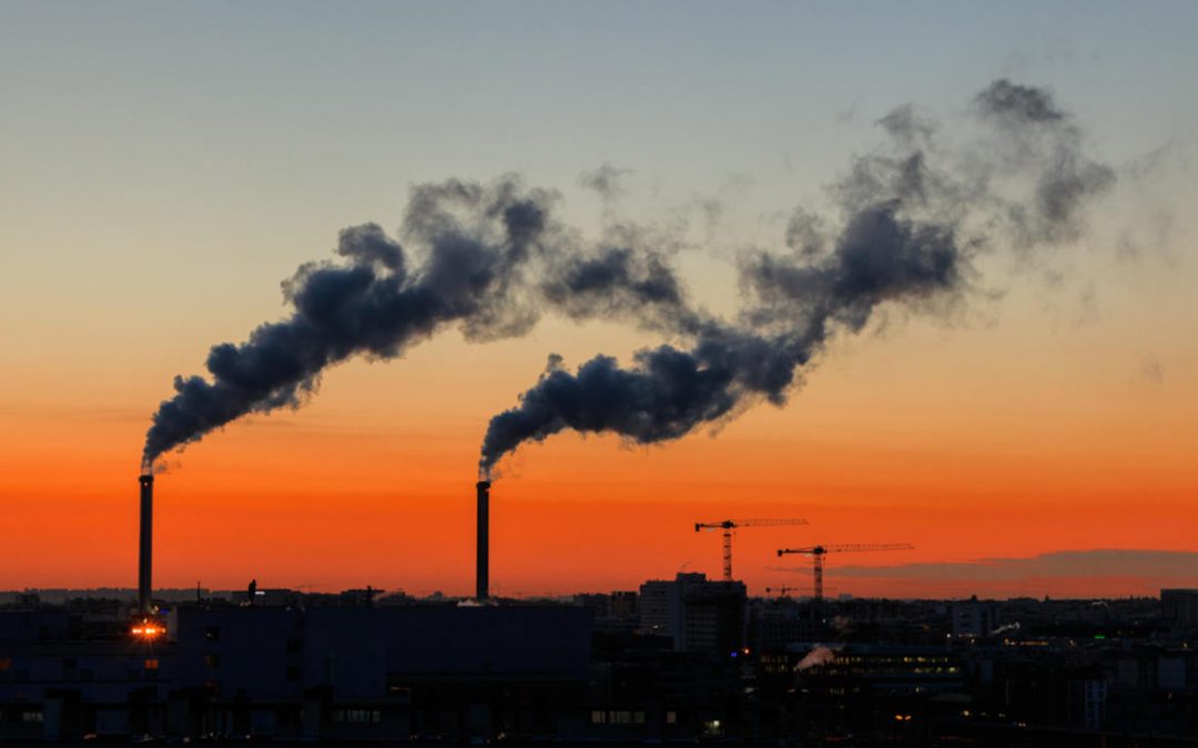 ESG: Emissão de gases, crédito de carbono e padronização de informações devem ser centro das atenções em 2022