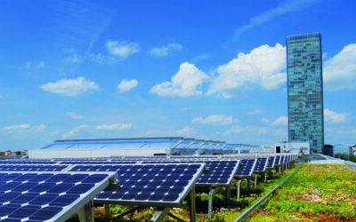 Tecnologia combina benefícios do teto verde e placas solares.