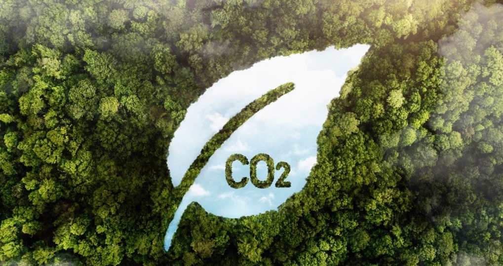 Câmara aprova crédito de carbono em concessões florestais.