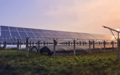 De olho nos custos, produtor rural começa a adotar a energia solar