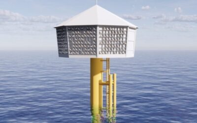 Parque eólico offshore constrói ninhos oceânicos para reprodução das gaivotas