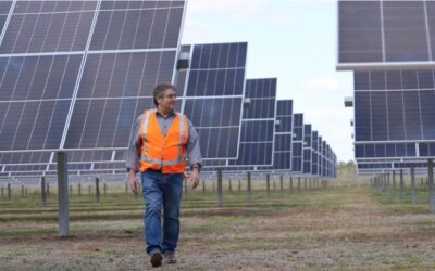 Vinícola australiana tem a maior fazenda solar do país