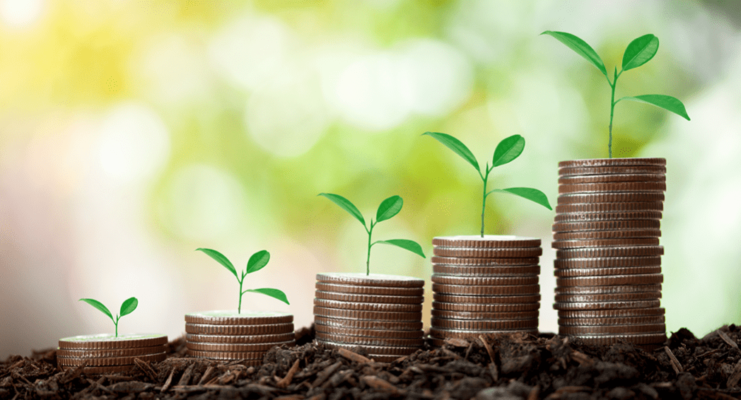 Fundos sustentáveis crescem 48% em ano de COP30